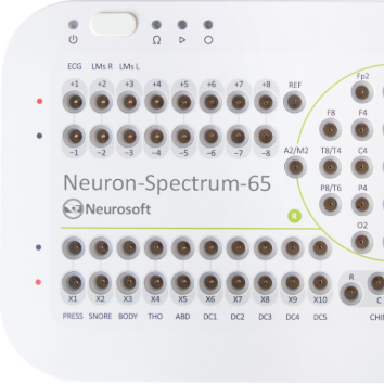 Neuron-Spectrum-65
