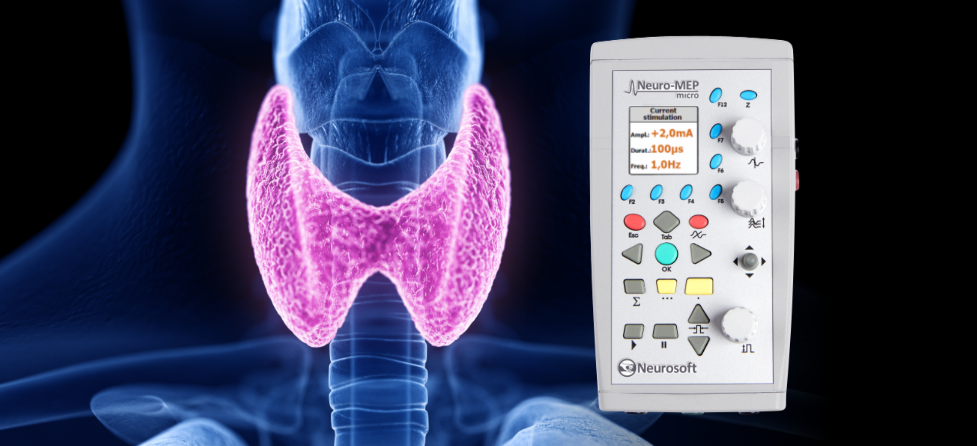 ENDOCRINOLOGY ENDOCRINOLOGY