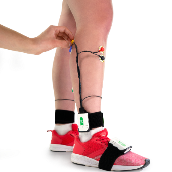 Surface EMG up to 24 muscules