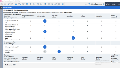 Built-in questionnaires for control and assessment of asthma, COPD and shortness of breath