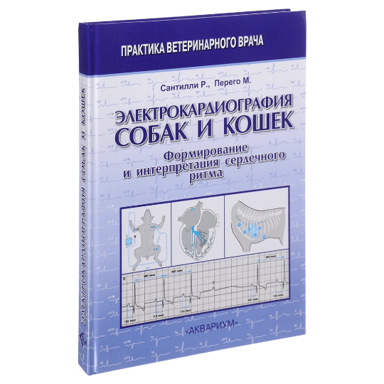 Электрокардиография собак и кошек. Формирование интерпретация сердечного ритма