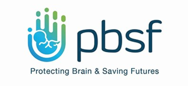 Protecting Brains & Saving Futures Project: Results of 2020