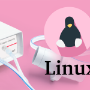 Важные обновления в ПО «Спиро-Спектр»: работа под Linux и не только