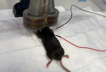 Neurosoft in Scientific Collaboration on Gene Therapy Development for Rare Hereditary Diseases