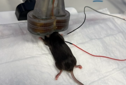 Neurosoft in Scientific Collaboration on Gene Therapy Development for Rare Hereditary Diseases