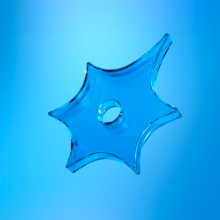 НейроВесна