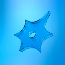 Школа холтеровского мониторирования ЭКГ