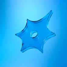 Клиническая психотерапия: в поисках идеальной практики