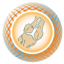 Медицинская помощь при травмах. Новое в организации и технологиях