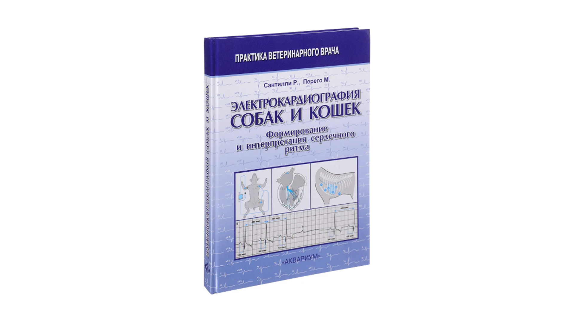 Электрокардиография собак и кошек. Формирование интерпретация сердечного ритма