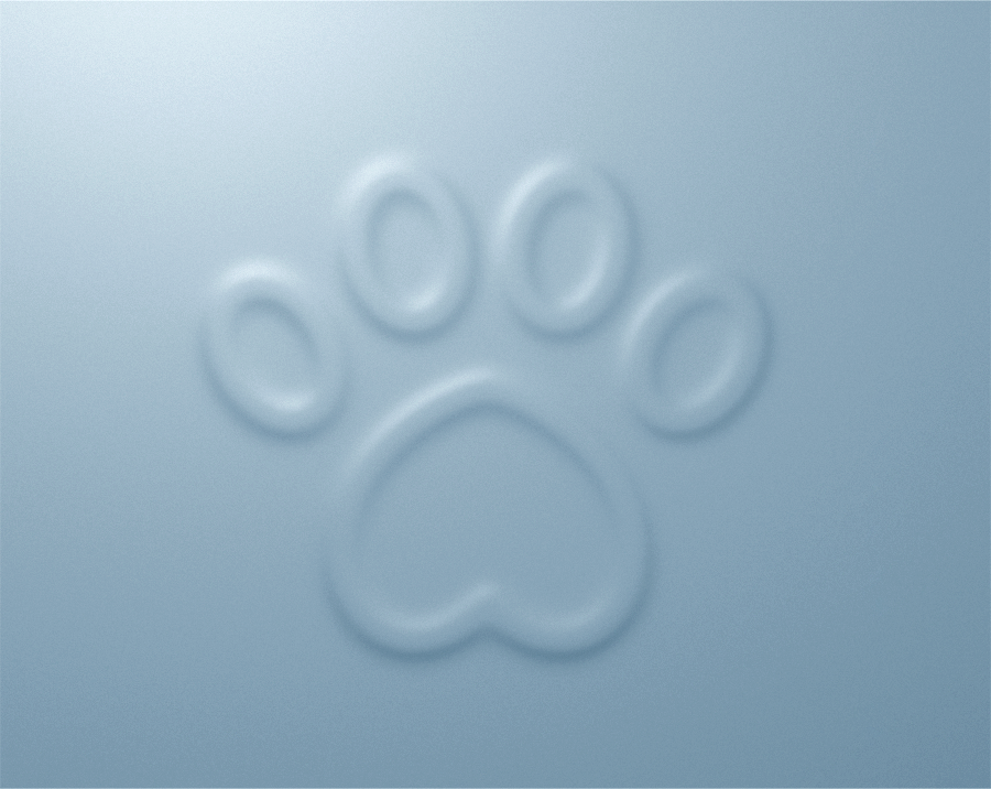 Научные статьи и&nbsp;полезные материалы по ветеринарии